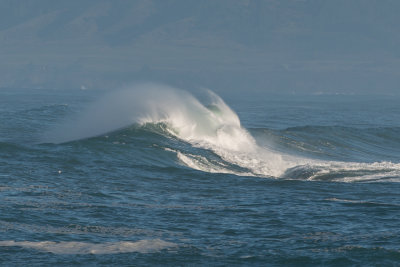 Mendo Dec 12-207.jpg