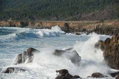 Salt Point Dec 2012-12-2.jpg