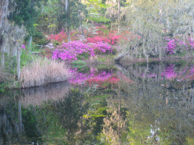 South Bonnie -434.jpg