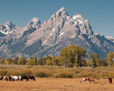 Tetons Nikon B_20110920_0039.jpg