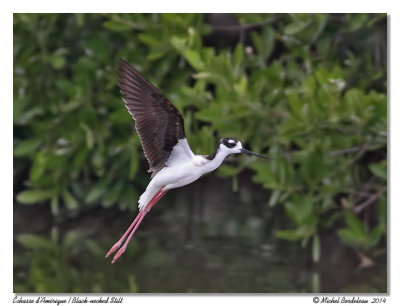 Holguin (Cuba) Fvrier 2014