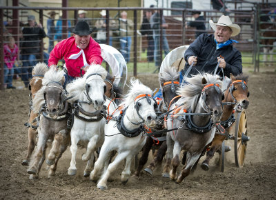 _DSC5902pb.jpg  The Pony Chucks