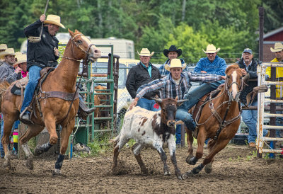 _DSC6100pb.jpg  Steer Wrestling