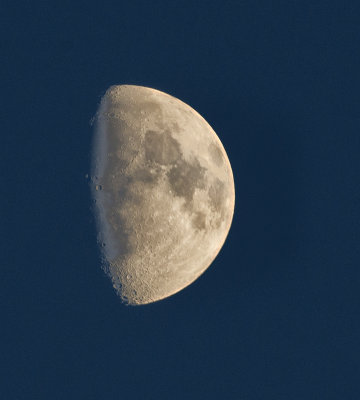 _DSC6392pb.jpg The Man in the Moon