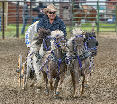 Tha Annual Rawhide Rodeo in Wetaskiwin