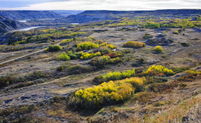 _SDP6695.jpg The Golden Aspens