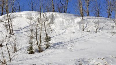 _DSC0011jp.jpg Snow Drifts on the Prairies