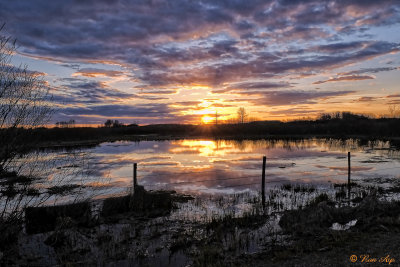_DSF5296gf.jpg Near By the Lake Park in Wetaskiwin