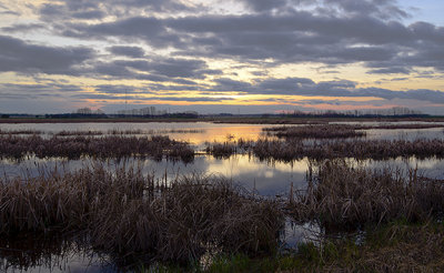_DSC1029pb.jpg Ducks Unlimited Pond near Wetaskiwin