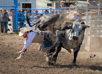 _GWW8081pb.jpg  The Bull Rider