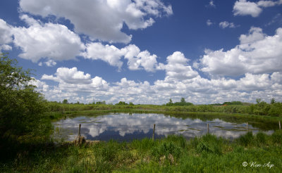 _DSC1180.jpg  Ponds