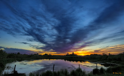 _GWW8892s.jpg A Little Country Pond