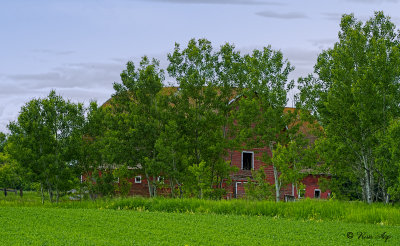 _DSC0360.jpg The Red Barn