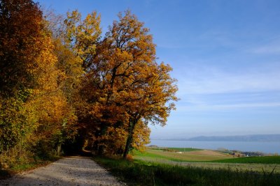 g9/23/546723/3/161828412.8iPVov8S.jpg