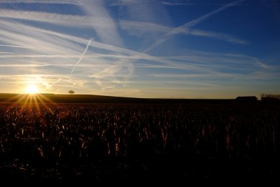 g9/23/546723/3/161828462.b6XHua9I.jpg
