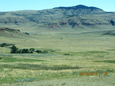 IMG_0444.JPG