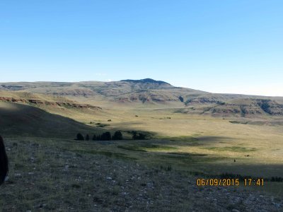 IMG_0446.JPG