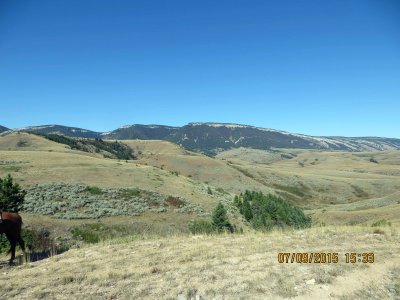 IMG_0469.JPG