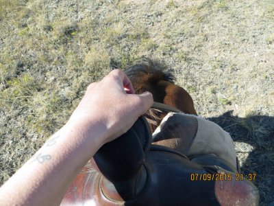 IMG_0493.JPG