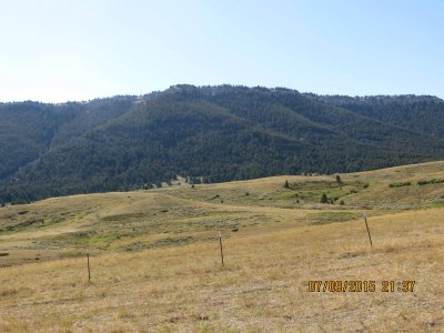 IMG_0494.JPG