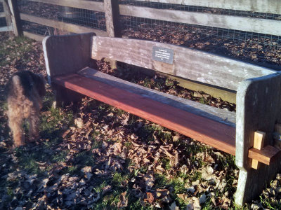 Hannah's Bench repaired (2015)