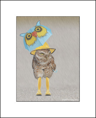 Rainy-Day-Owl-small-master.jpg
