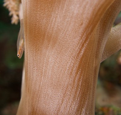 g9/23/577823/3/157697766.xSR3UChF.jpg