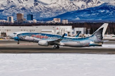 Alaskan Airlines special livery, taking off