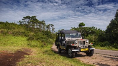 Periyar Safari 