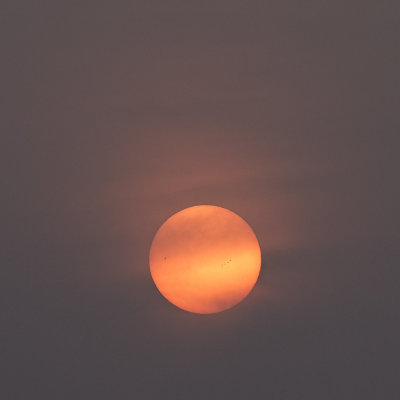 Sun(spots) through the fog