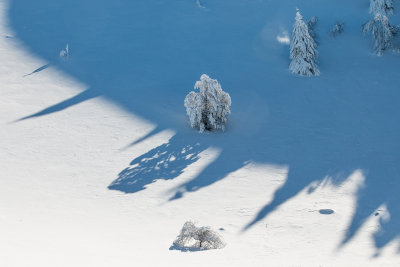 Shadows