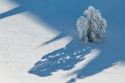 Throwing shadows