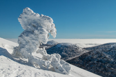 Ice sculpture