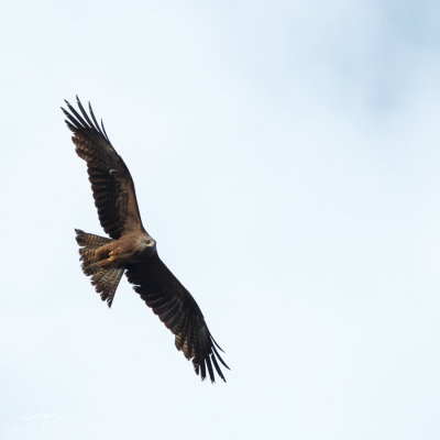 g9/23/58723/3/163479934.XRJ6ZfJz.jpg