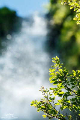 Cascade de la Biche