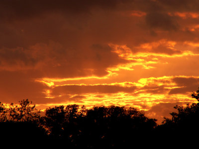 10-26-2013 Sunset 2.jpg