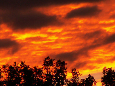 11-6-2013 Sunset 5.jpg