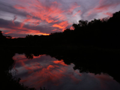 12-3-2013 Salado Creek Sunset 1.jpg