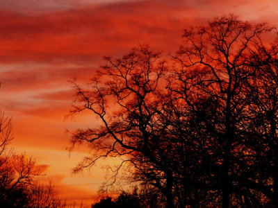 2-8-2014 Fiery Sunset 3.jpg