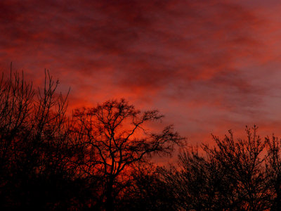 2-20-2014 Sunset 3.jpg