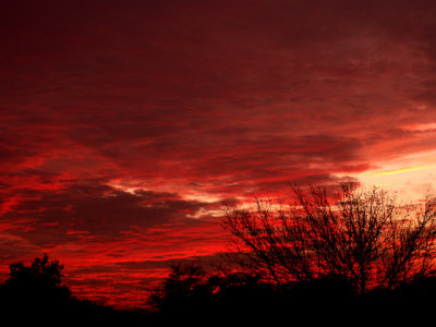 2-26-2014 RED! Sunset.jpg