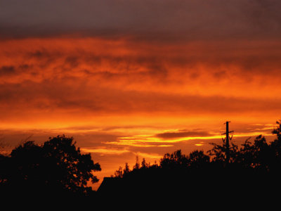 8-11-2014 Red Sunset 4.jpg
