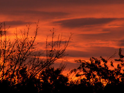 8-11-2014 Red  Sunset 5.jpg