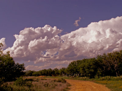 4-18-2015 Texas Ranch Road.jpg