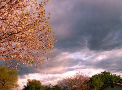 3-11-2016 Stormy Sunset 2