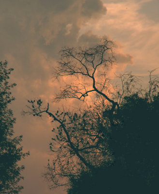 3-18-2016 Storm at Sunset 1