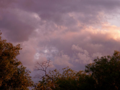 4-21-2016 Rain Heading South 1