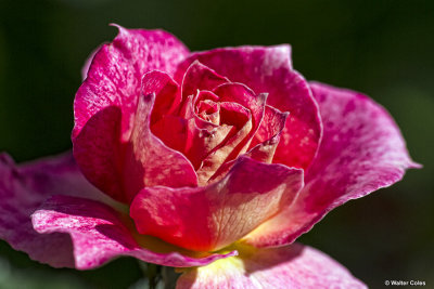 g9/23/658623/3/152481289.At4eDoGF.jpg