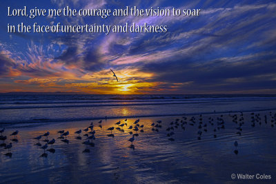 Sunset 11-7-13 HB (18) Gulls Prayer VG.jpg