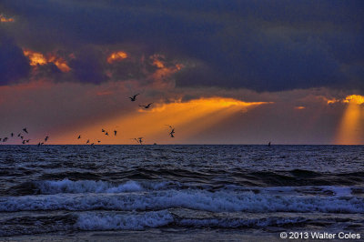 Sunset Rays Birds 11-4-13 2.jpg